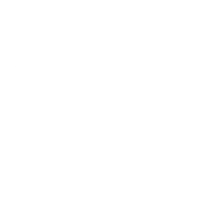 Bahar & Dave's wedding